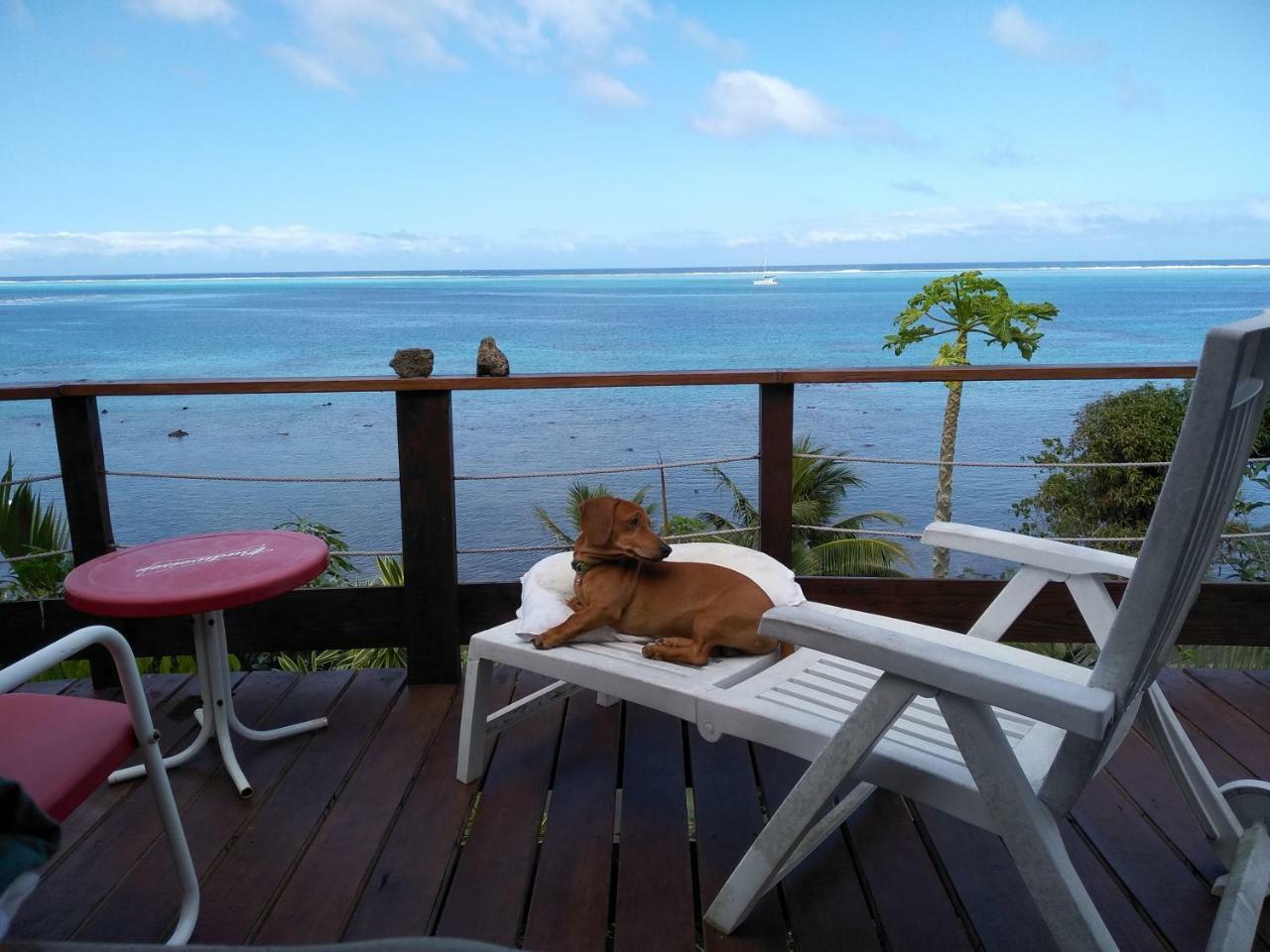 Tehuarupe Surf Studios Haapiti Bagian luar foto